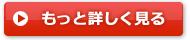 もっと詳しく見る