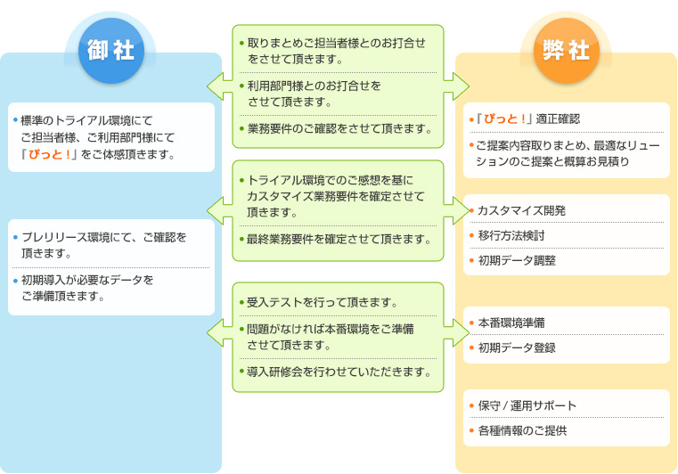 ぴっと導入フロー
